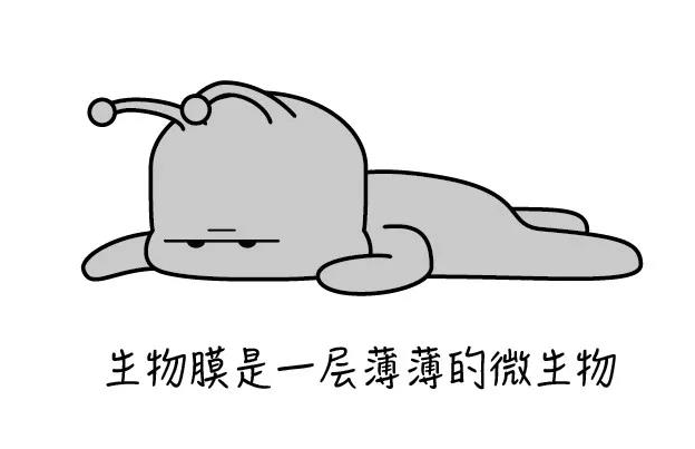 为什么原理简单的MBR工艺能备受关注？