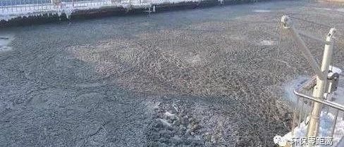 活性污泥驯化技巧