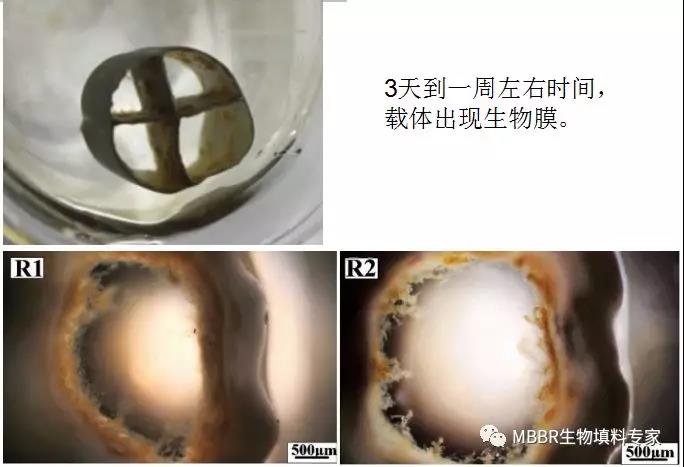 微信图片_20200303144619.jpg